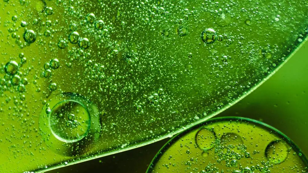 Bio-Based Chemistry Is Not a Trade-Off